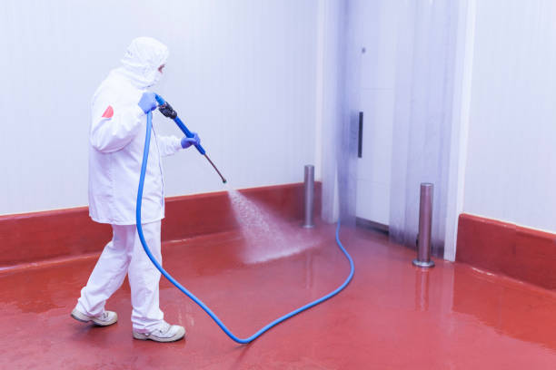 Professional Pressure Washing Services in Marlboro Village, MD